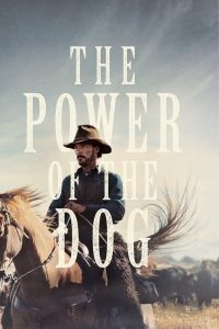 ดูหนังออนไลน์ฟรี The Power (2021) of the Dog